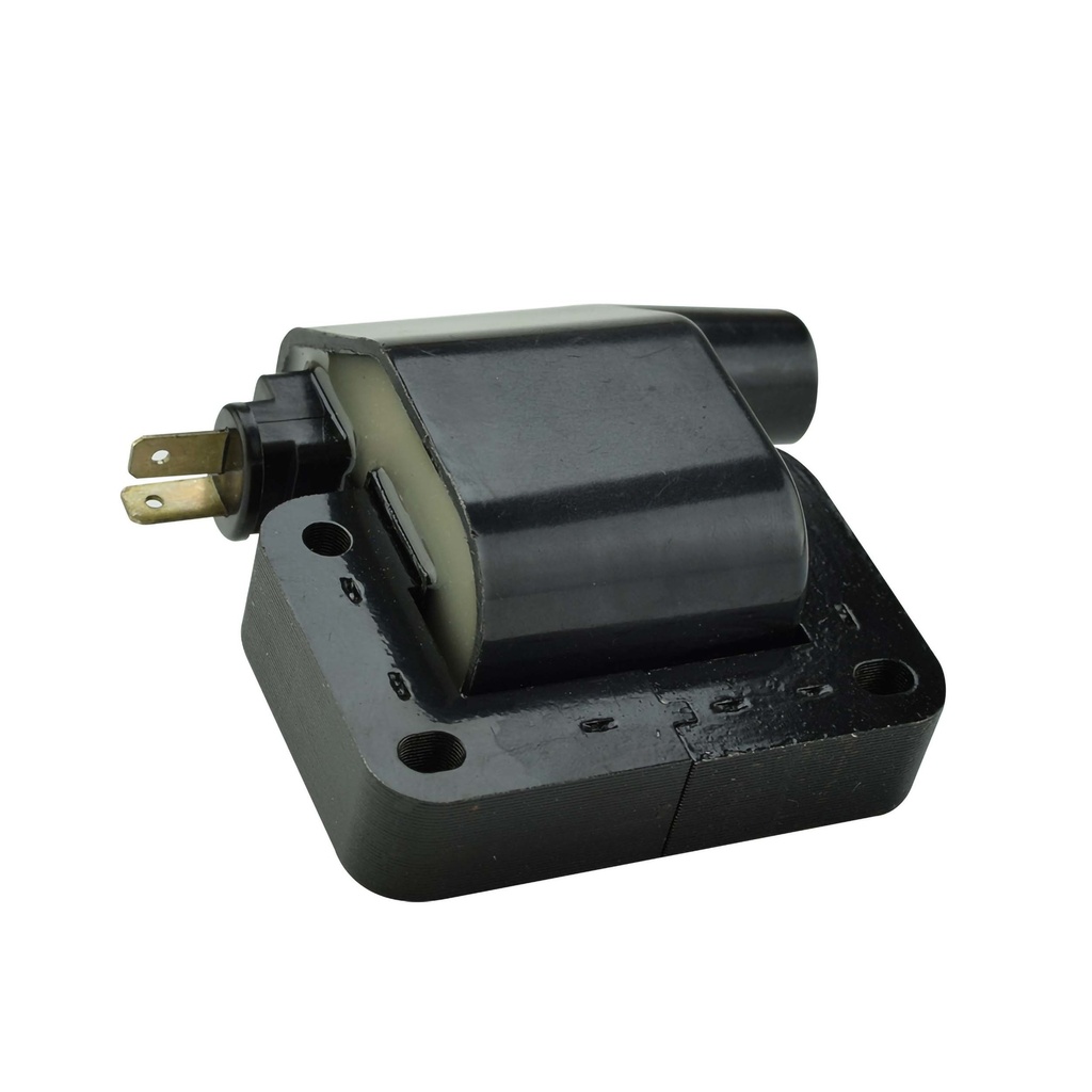 IC-33_2.jpg