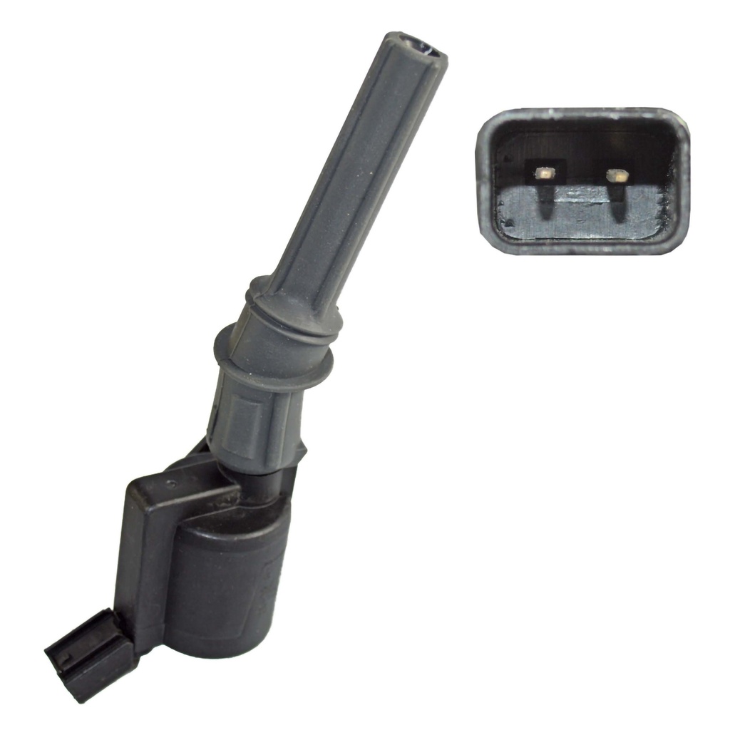 IC-39_2.jpg