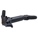 IC-410_2.jpg