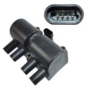 IC-42_1.jpg
