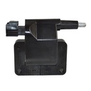 IC-43_2.jpg