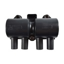 IC-45_1.jpg