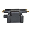 IC-49_2.jpg
