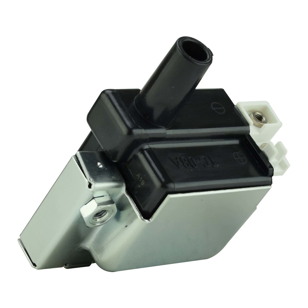 IC-95_1.jpg