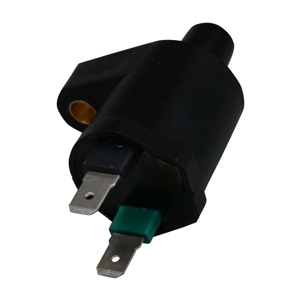ICM-10_1.jpg