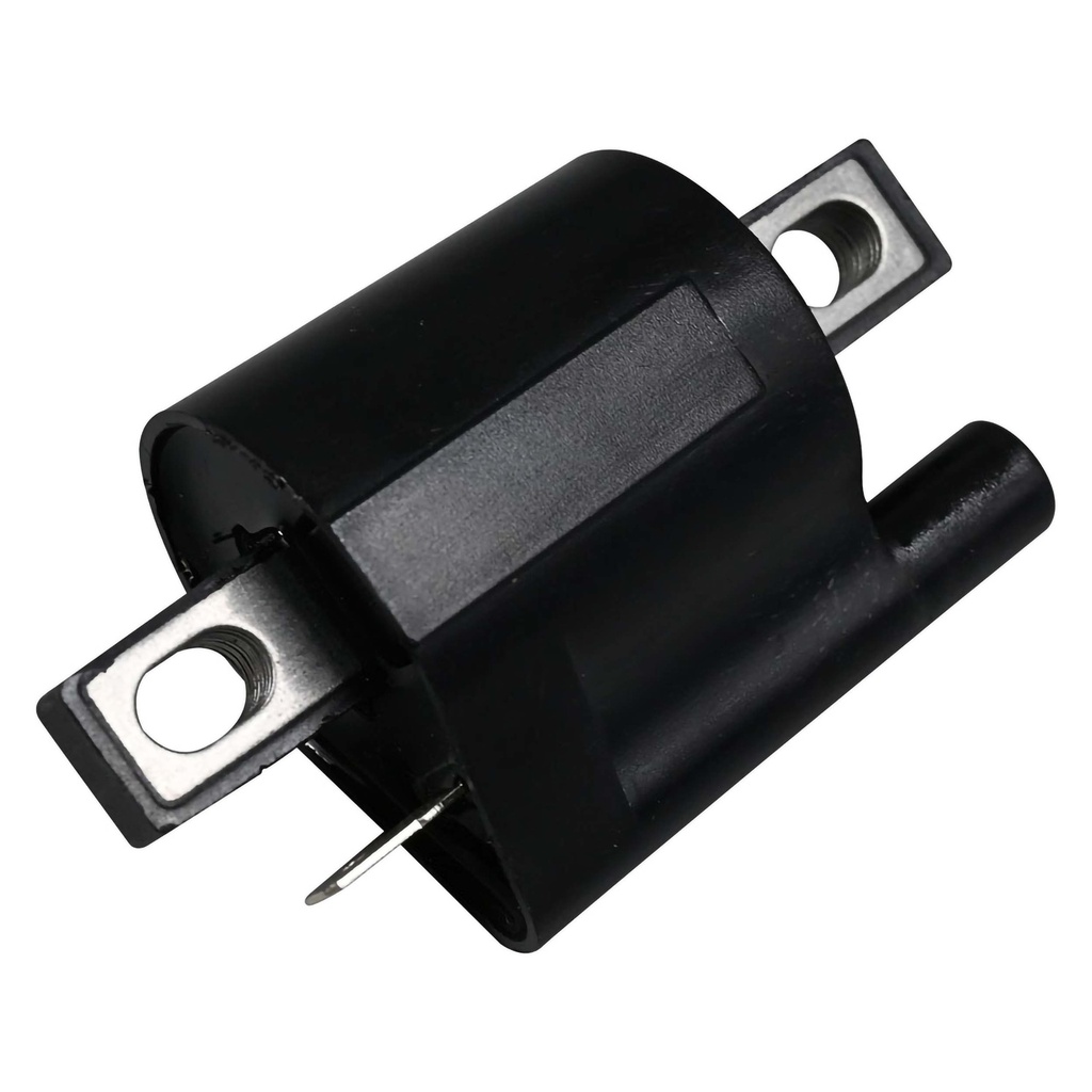 ICM-11_2.jpg