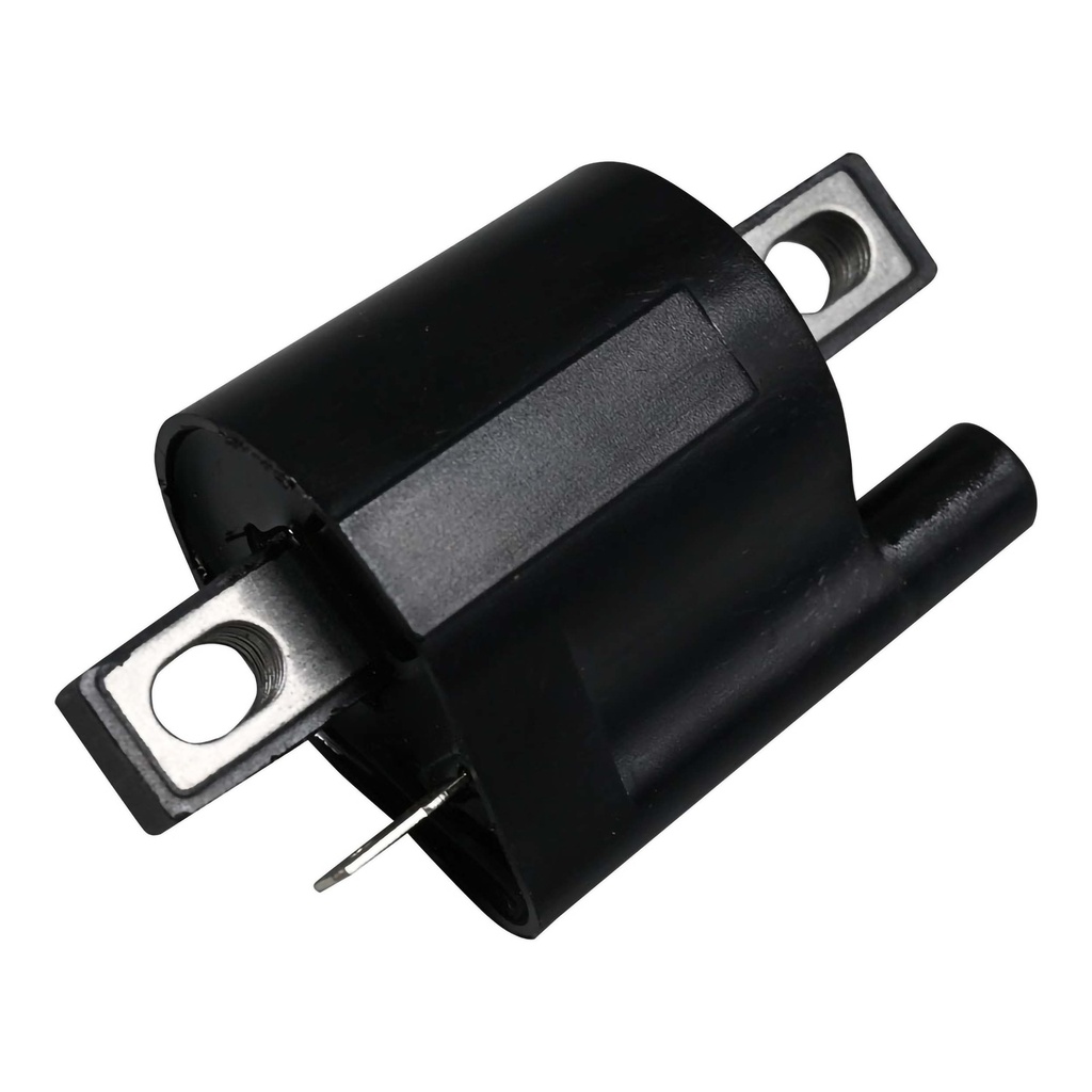 ICM-61_2.jpg