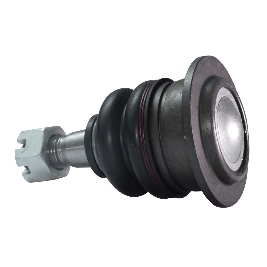 MR1025023_2.jpg