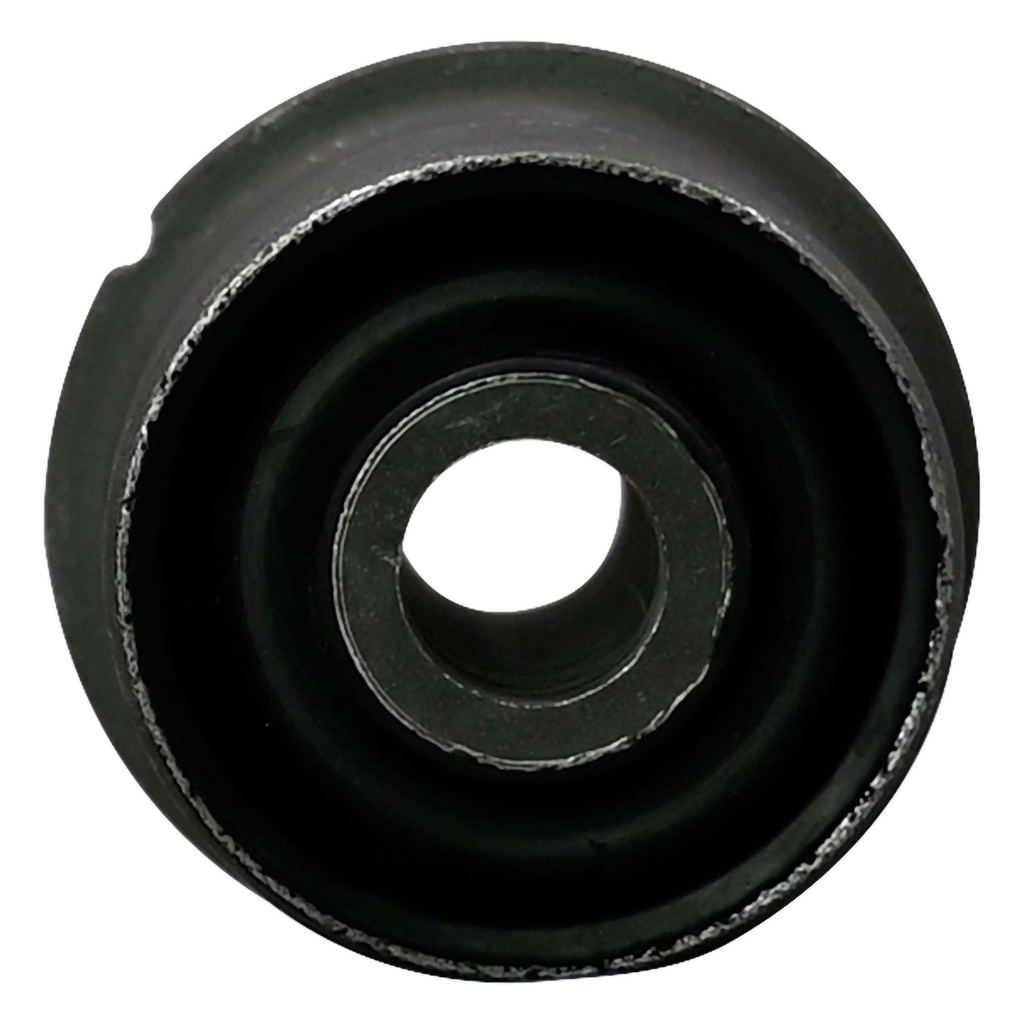 MR1403106_1.jpg
