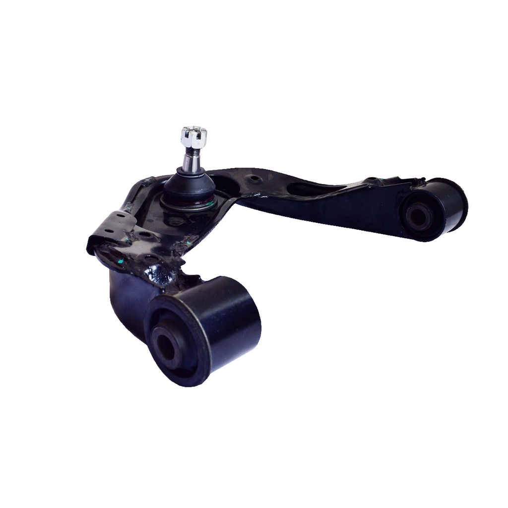 MR1516020_1.jpg