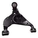 MR1525077_1.jpg