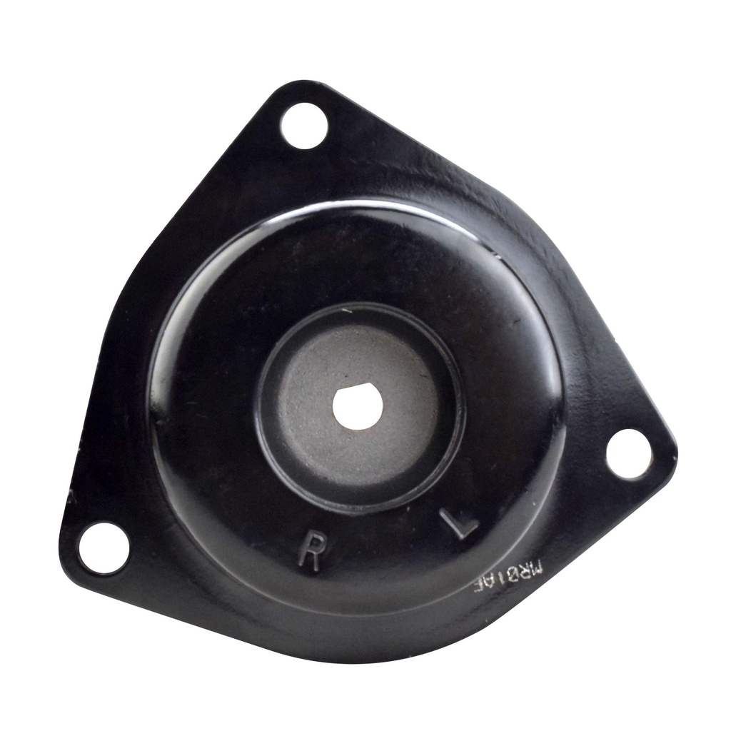 MR2516009_2.jpg
