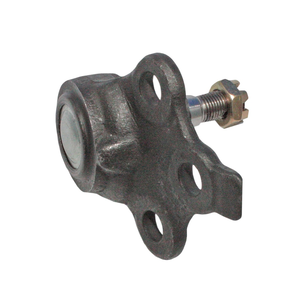 MRK-5273_2.jpg