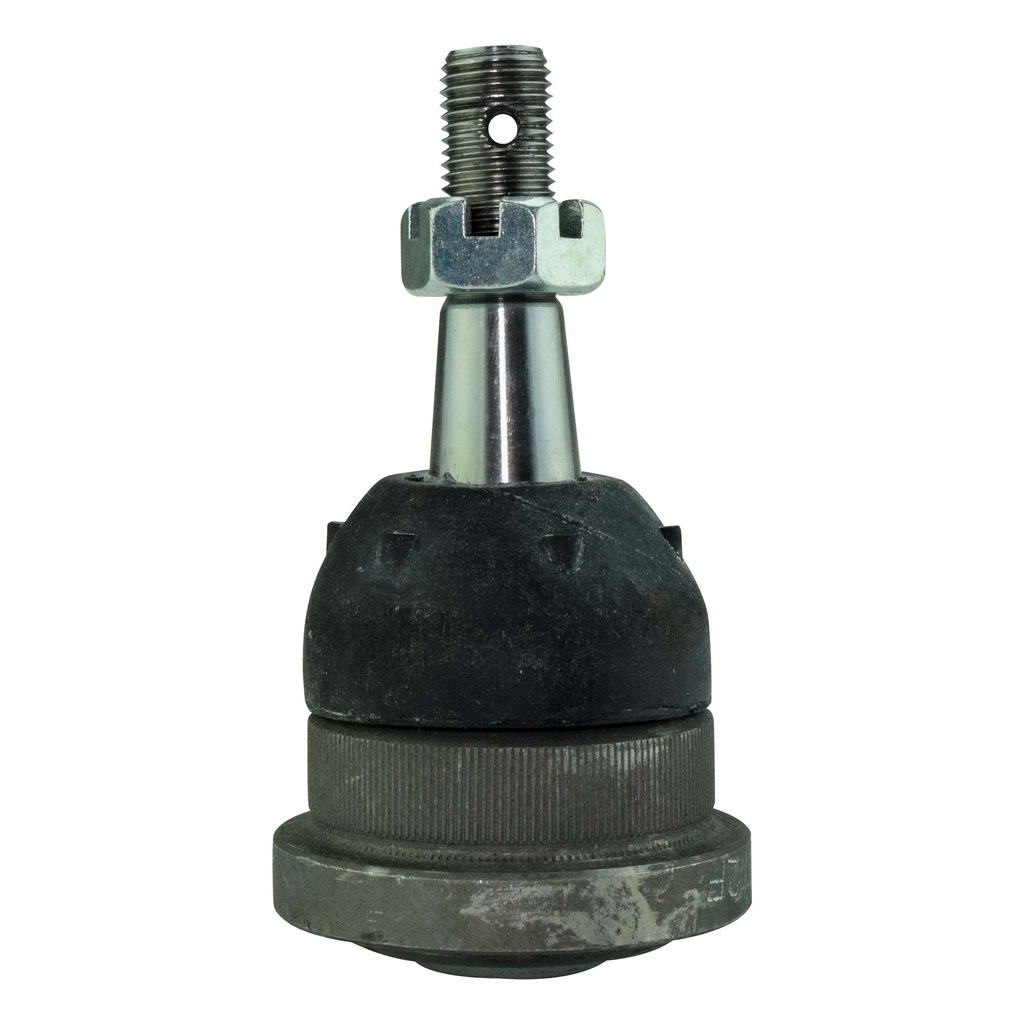 MRK-5297_1.jpg