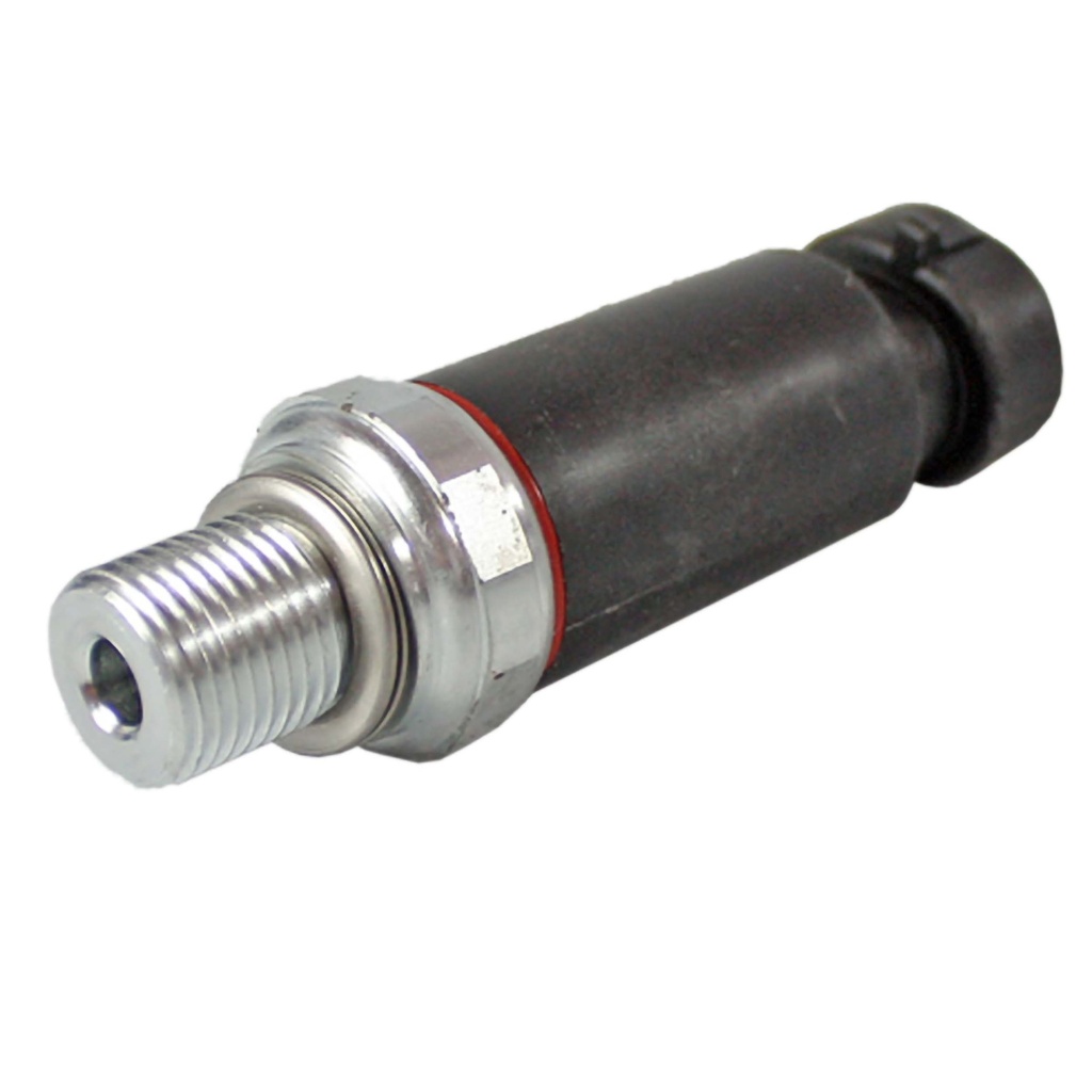 PS237_2.jpg
