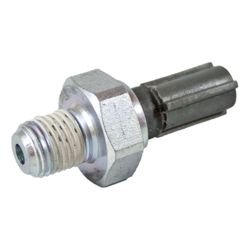 PS313_2.jpg