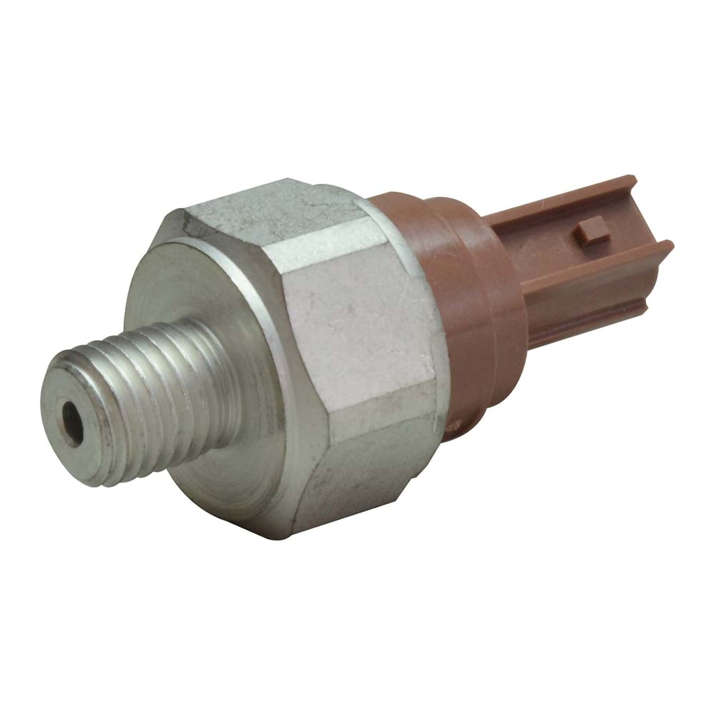 PS509_1.jpg