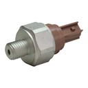 PS509_1.jpg