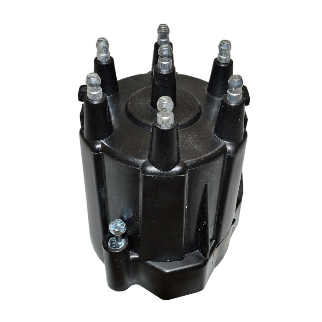 TD-21_1.jpg