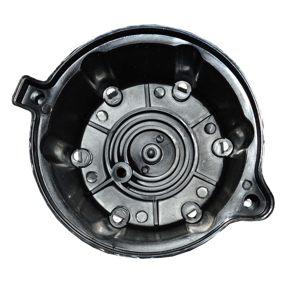 TF-36_2.jpg
