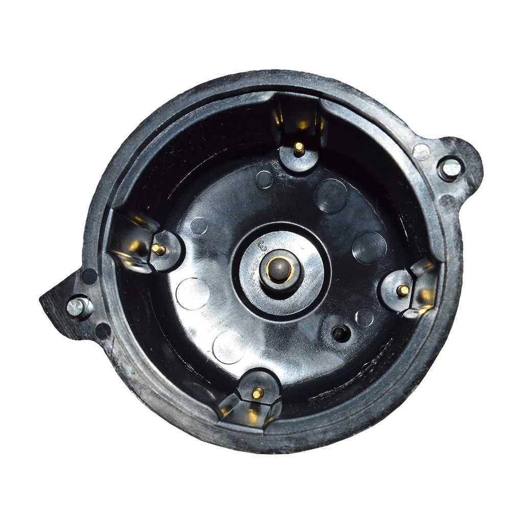 TT-96_2.jpg