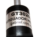 GT30203_5.jpg
