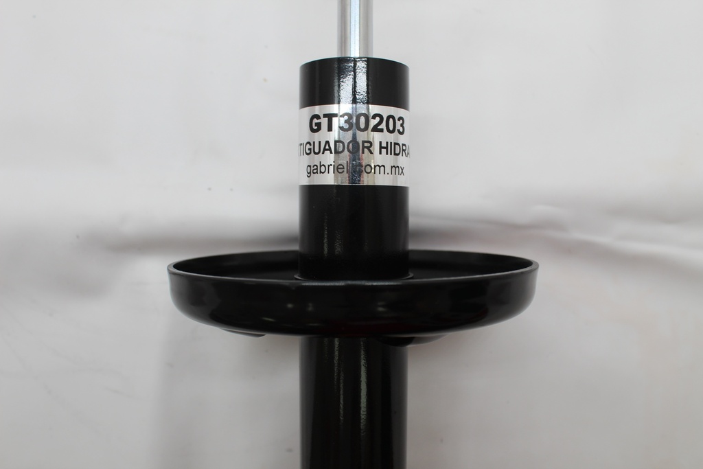 GT30203_5.JPG