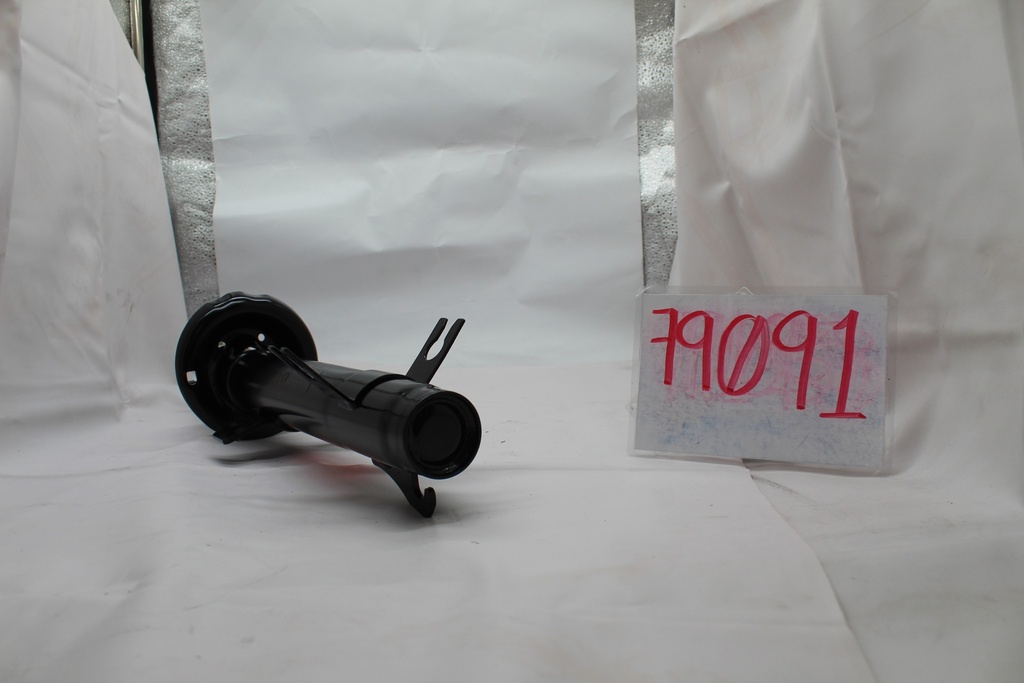 79091_3.JPG
