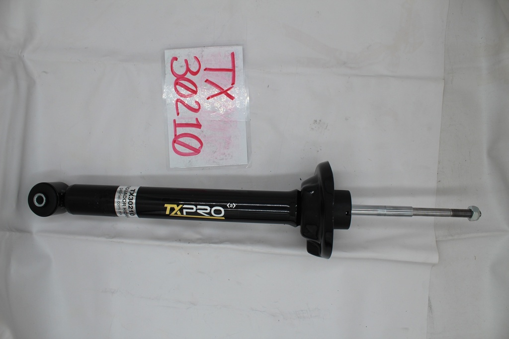 TX30210_1.JPG