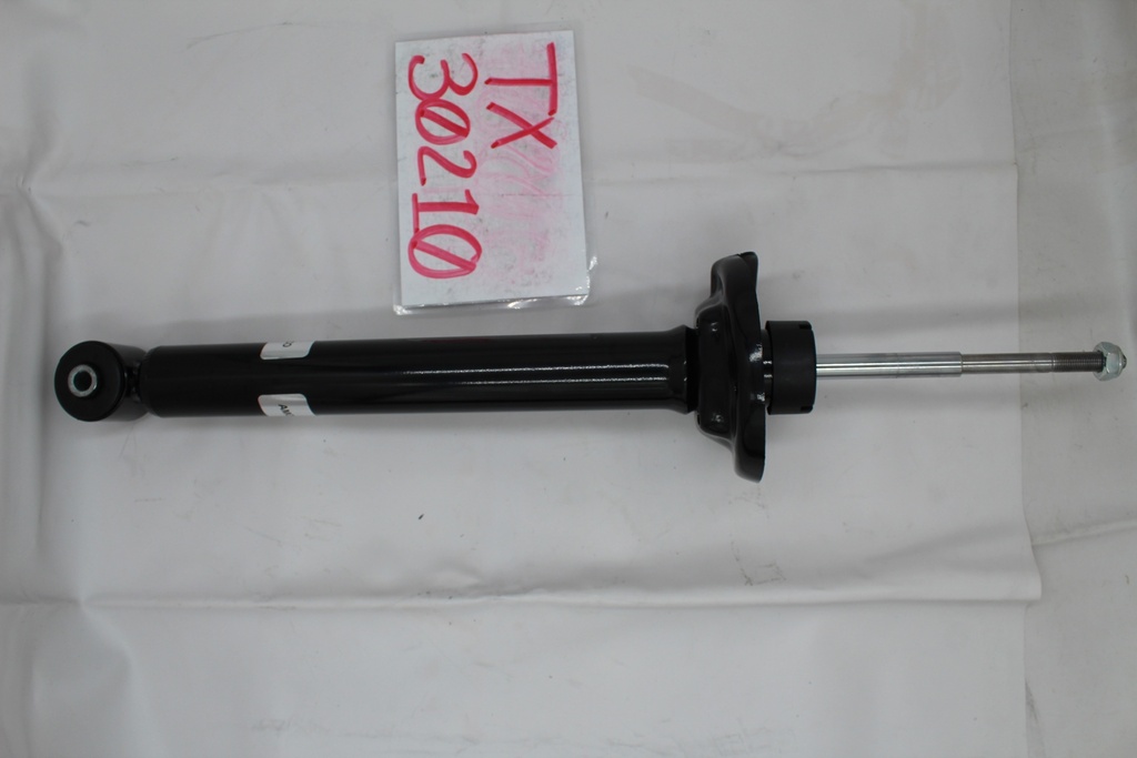 TX30210_2.JPG