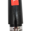 43731_6.JPG