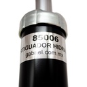 85006_5(1).jpg