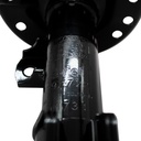 USA79272R_7.jpg