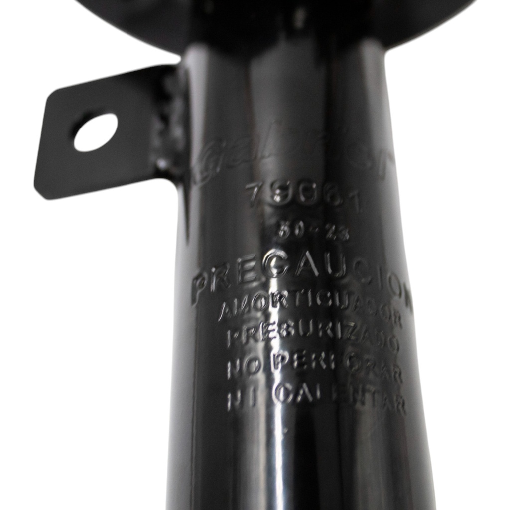 79061_6.jpg