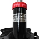 USA79307R-A_5(1).JPG