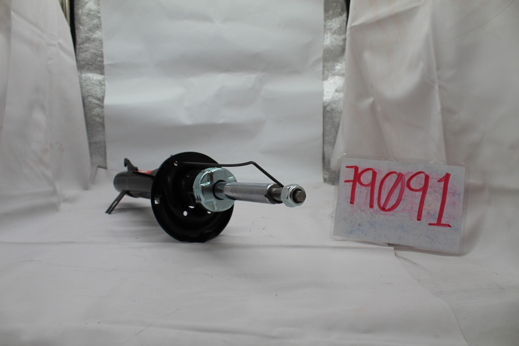 79091_4.JPG