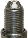 BKR6EQUA_03.jpg