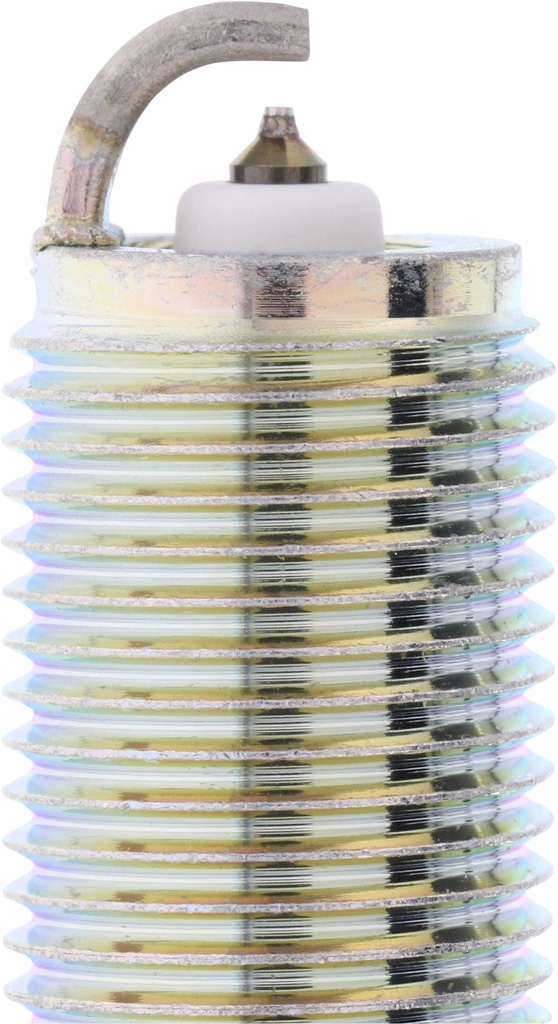 PLFR5A-11_02.jpg
