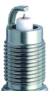 TR55-1GP_06.jpg