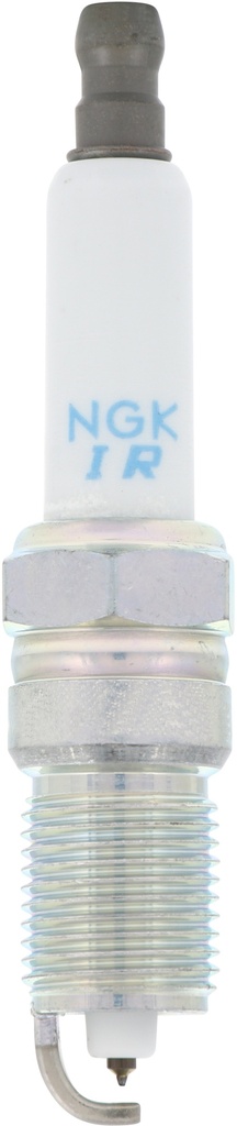IZTR4A11_02.jpg