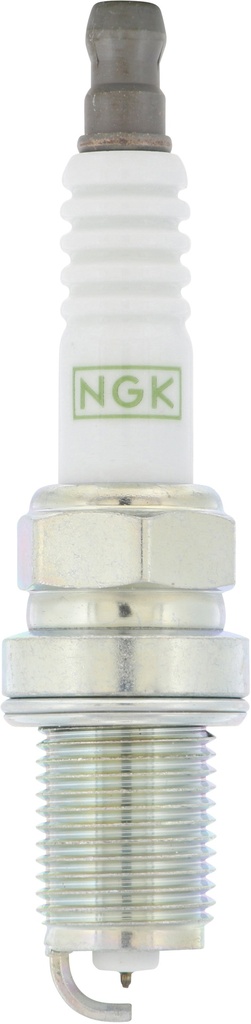 BCPR6EGP_04.jpg