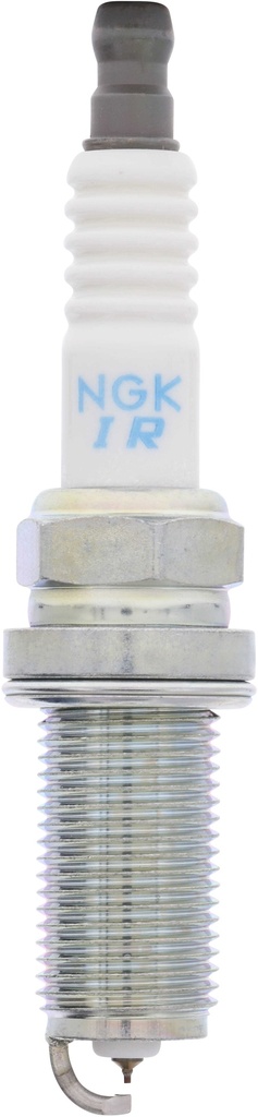 SILFR6A11_02.jpg