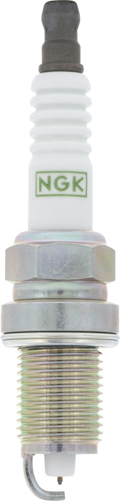 ZFR6AGP_02.jpg