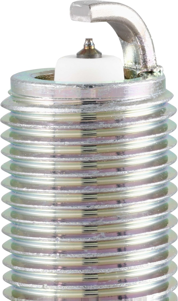 ILTR6J13_03.jpg