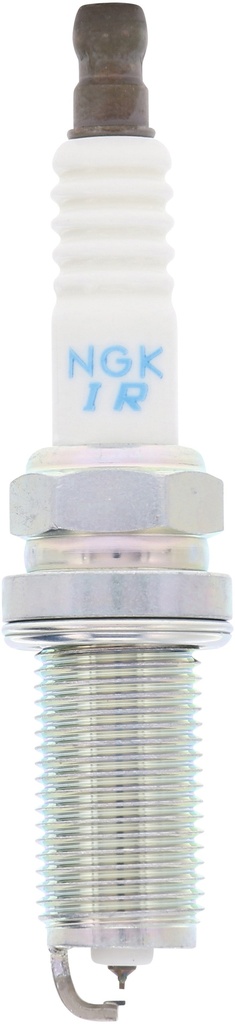 SILFR6B8_02.jpg