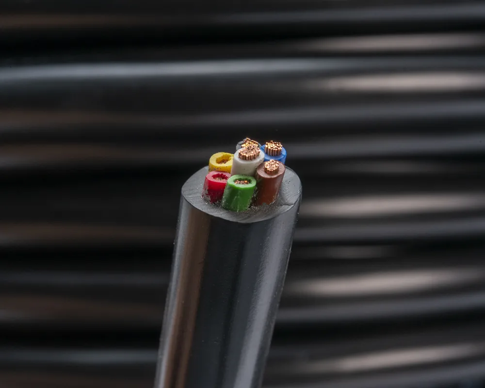 42057_1
