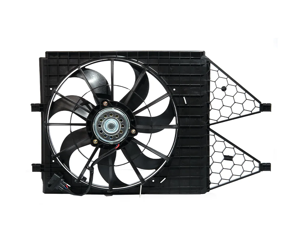 50198C_3