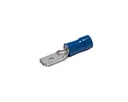 04247_thumb