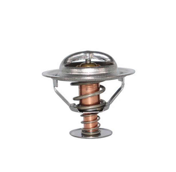 Termostato CAUPLAS TT1011