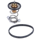 Termostato CAUPLAS TT1062